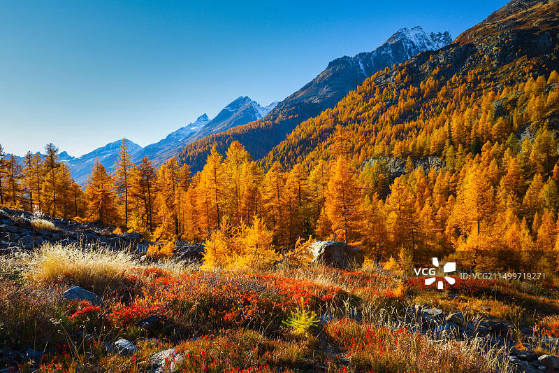 瑞士洛琴塔尔山谷的法夫拉尔普图片素材