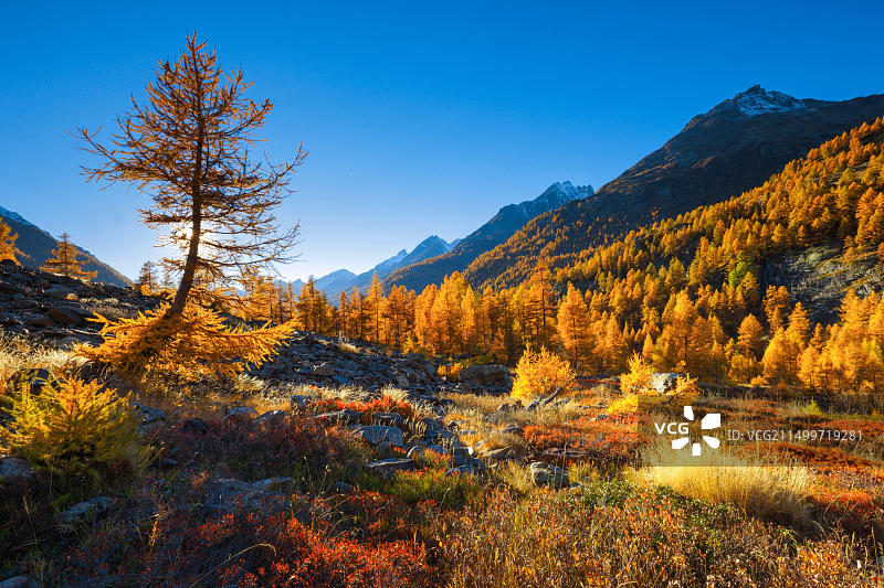 瑞士洛琴塔尔山谷的法夫拉尔普图片素材