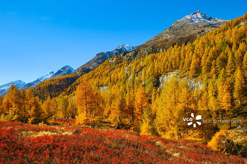 瑞士洛琴塔尔山谷的法夫拉尔普图片素材