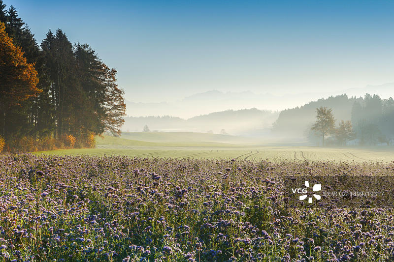 瑞士苏黎世高地森蒂斯峰风光图片素材