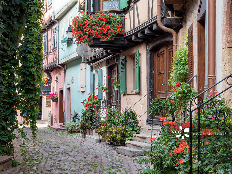 埃吉桑阿尔萨斯中心地区的半木结构建筑图片素材