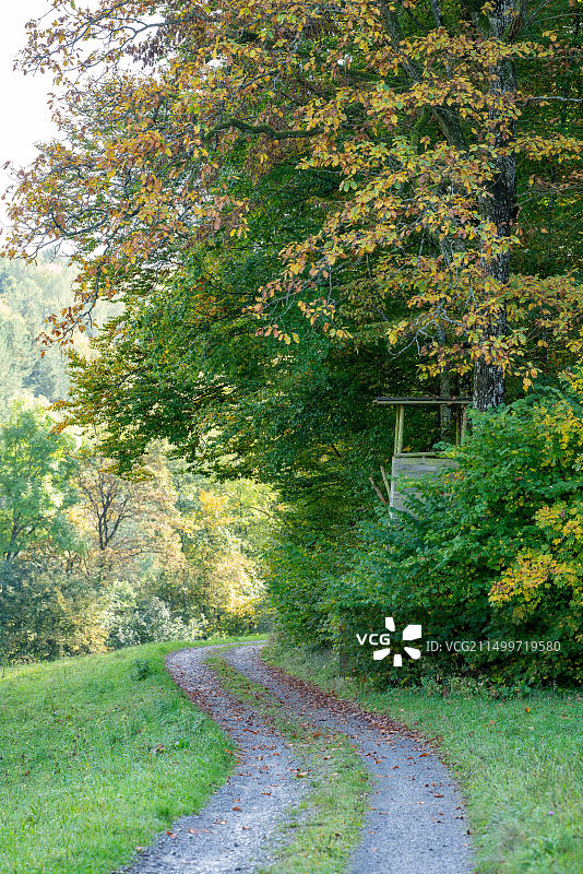 德国巴登-符腾堡州莫斯巴赫明信片图片素材