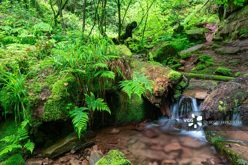 地理/旅游，德国，巴登-符腾堡州，茨温根贝格图片素材