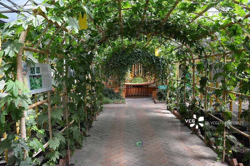 北京世界花卉大观园图片素材