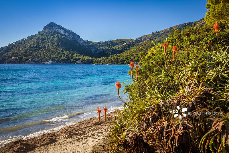 西班牙马略卡岛波连萨港和福门托海滩图片素材