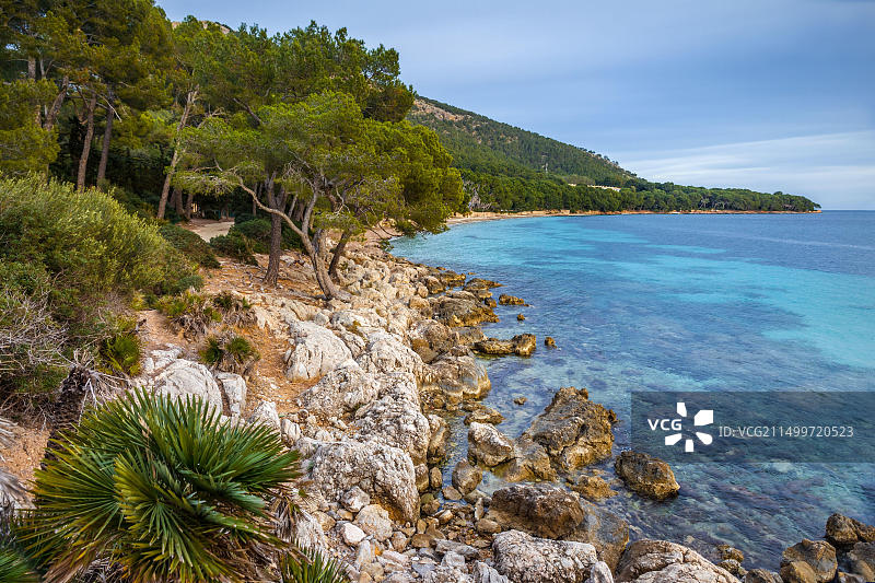 西班牙马略卡岛波连萨港和福门托海滩图片素材