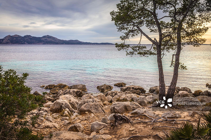 西班牙马略卡岛波连萨港和福门托海滩图片素材