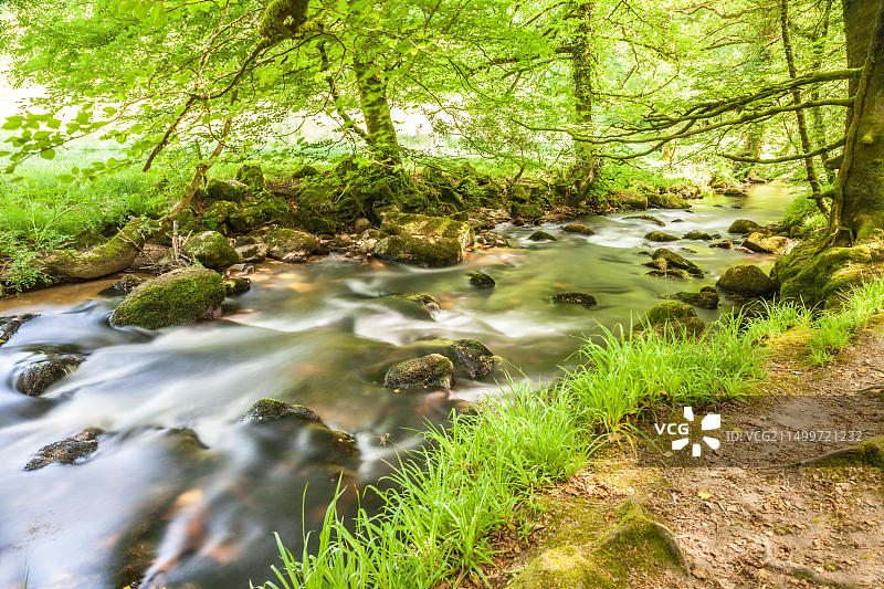 英国康沃尔郡福伊河畔圣尼奥茨博德明沼泽风光图片素材
