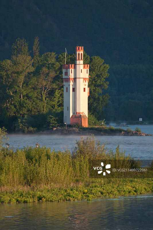 德国宾根鼠塔图片素材