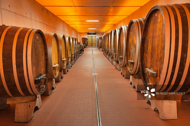德国黑森州埃伯巴赫修道院Steinbergkeller酒窖图片素材