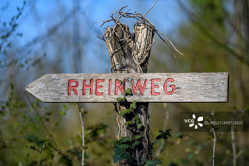 德国巴登-符腾堡州莱茵河自行车和徒步道标志图片素材