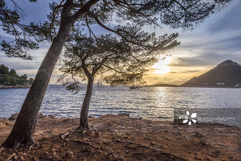 西班牙马略卡岛波连萨港和福门托海滩图片素材