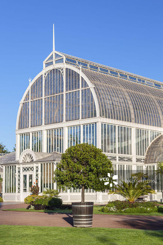 瑞典哥德堡公园棕榈屋图片素材