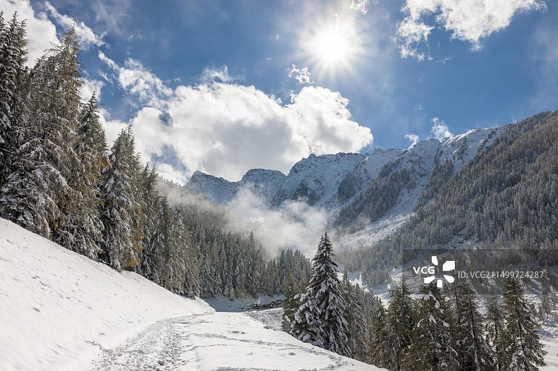意大利南蒂罗尔阿恩塔尔克劳斯山上的冬季雪景森林图片素材