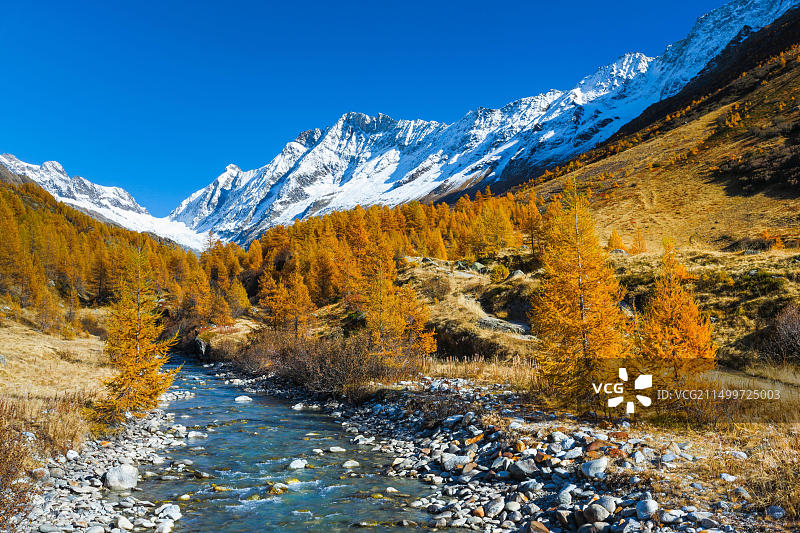 瑞士隆扎河，远处是阿莱奇峰和辛峰图片素材