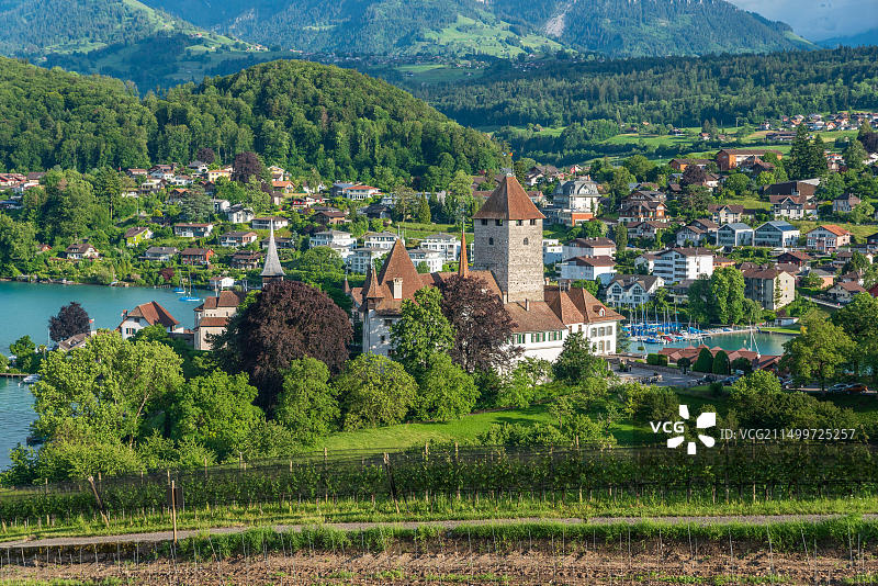 瑞士图恩湖畔的施皮茨城堡，伯尔尼高地图片素材