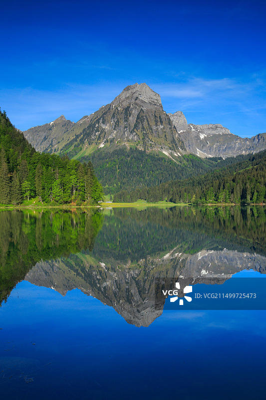 瑞士上湖布吕内利斯托克山图片素材