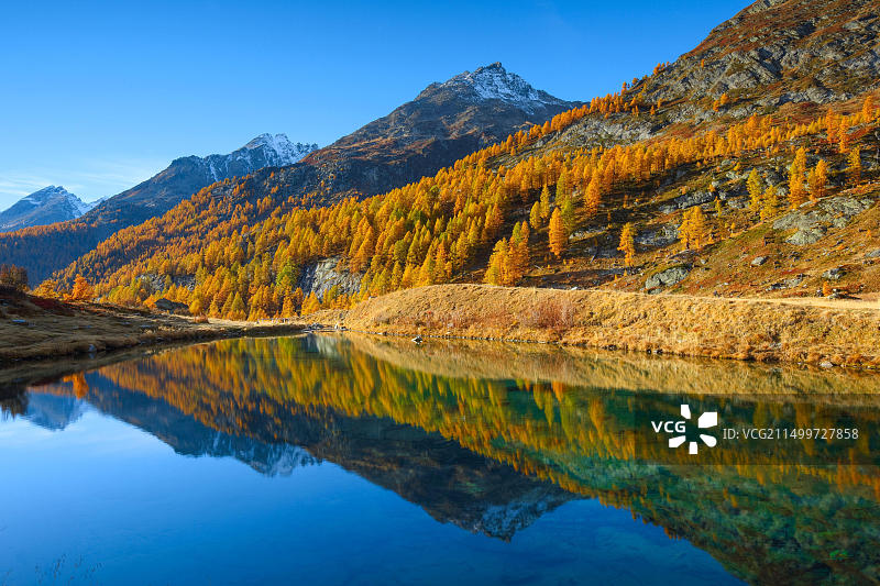 瑞士瓦莱州洛琴山谷的地面隆起图片素材