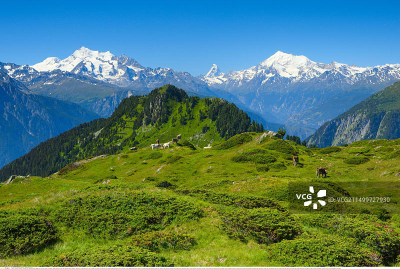 地理/旅游，瑞士，瑞士阿尔卑斯山，Mischabel集团，Matterhorn, Weisshorn, Valais，附加权利-许可-信息不可用图片素材