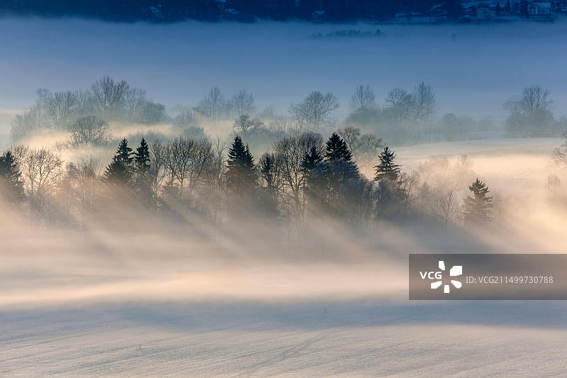 德国巴伐利亚科赫尔湖沼泽雾景图片素材