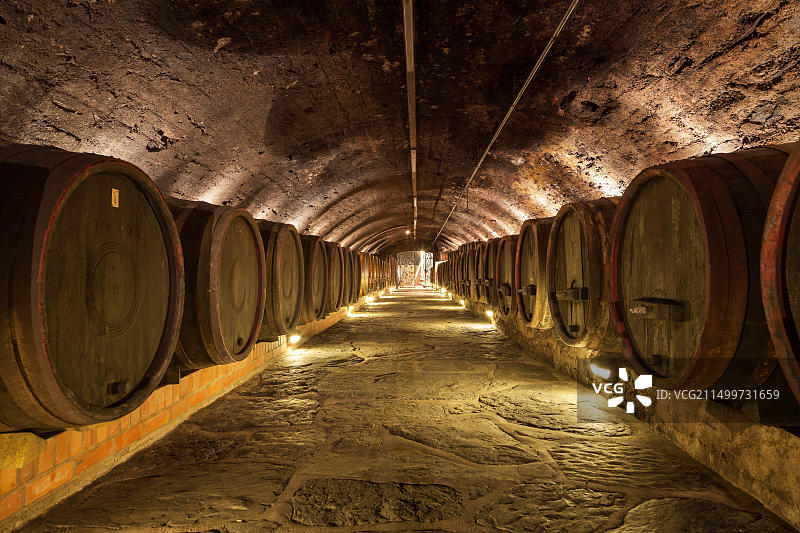 德国莱茵兰-普法尔茨葡萄酒窖橡木桶图片素材