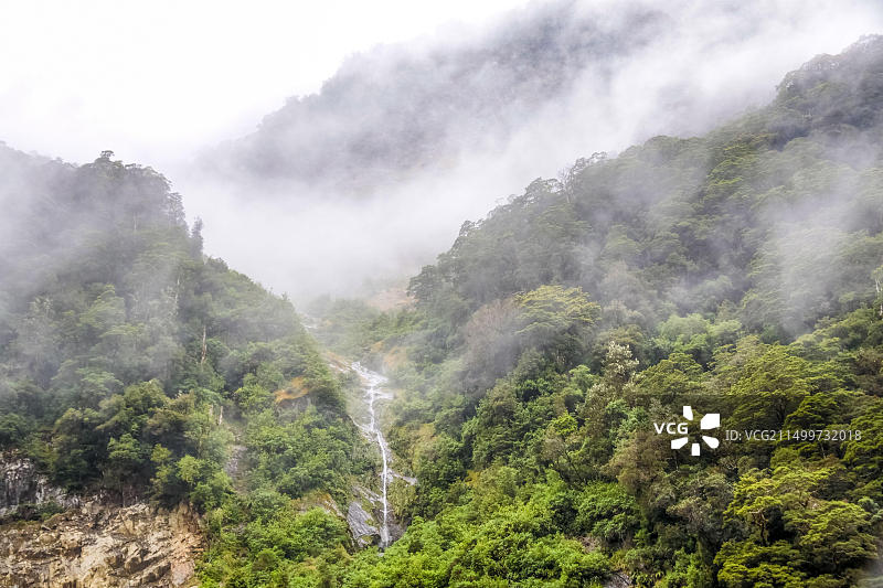 新西兰西海岸哈斯特山口的雾 फॉरेस्ट图片素材
