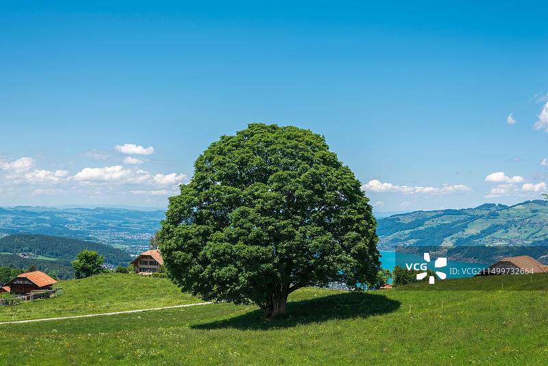 瑞士图恩湖风光图片素材