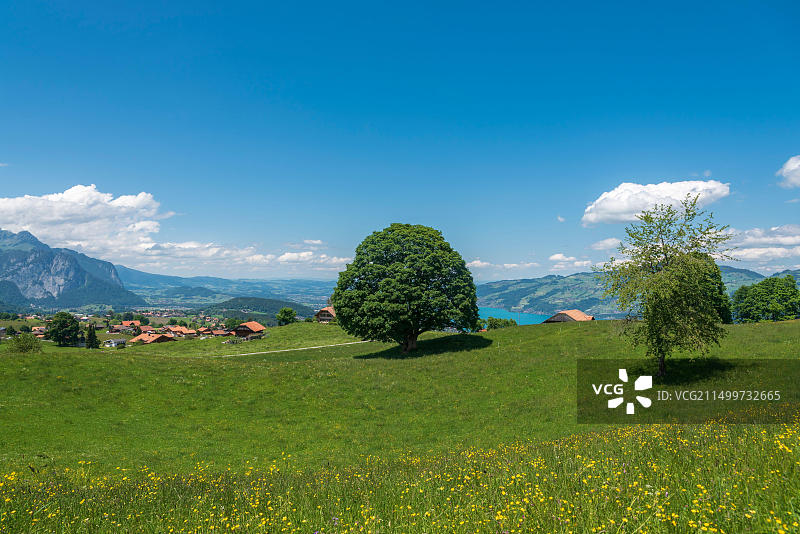 瑞士图恩湖风光图片素材