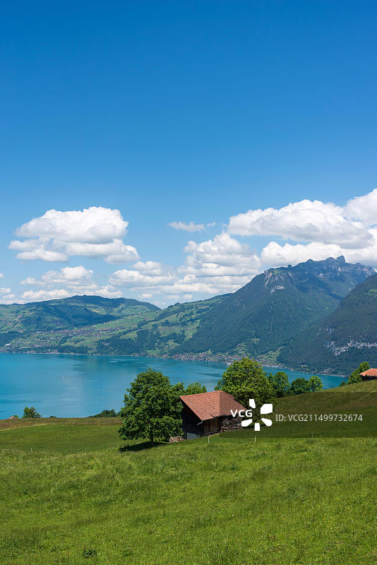瑞士图恩湖风光图片素材