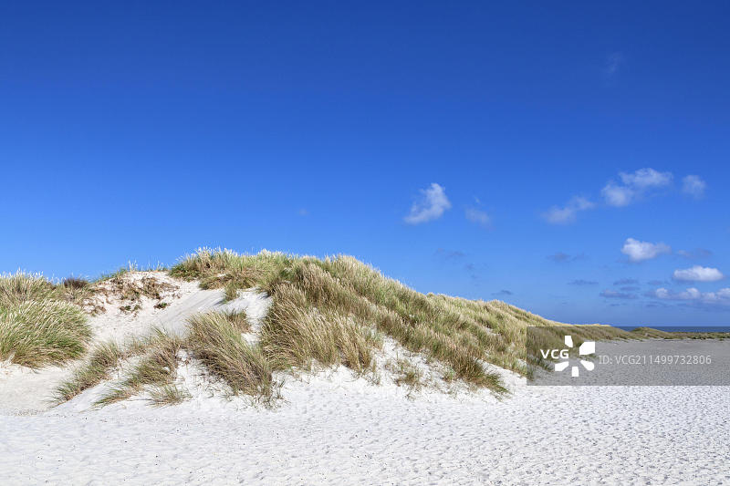 丹麦北日德兰半岛格雷嫩海岬的沙丘图片素材