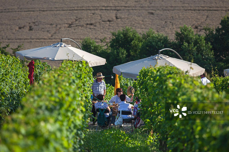 德国黑森州埃伯巴赫修道院斯坦伯格公司餐桌图片素材