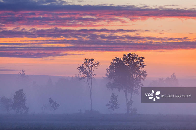 德国巴伐利亚科赫尔湖沼泽地日落红天图片素材