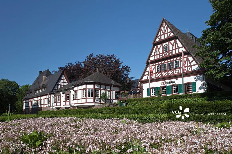 德国莱茵兰-普法尔茨州科布伦茨的葡萄园图片素材