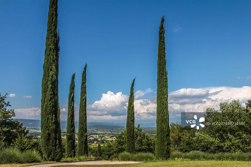 法国普罗旺斯奥佩德老城丝柏树大道图片素材