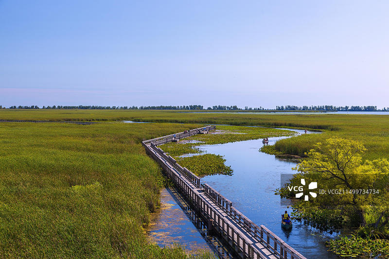 加拿大Point Pelee国家公园沼泽木板路上的划独木舟者图片素材