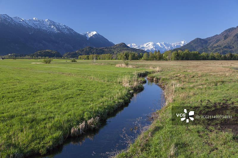 德国巴伐利亚埃申洛厄慕尔瑙苔原图片素材