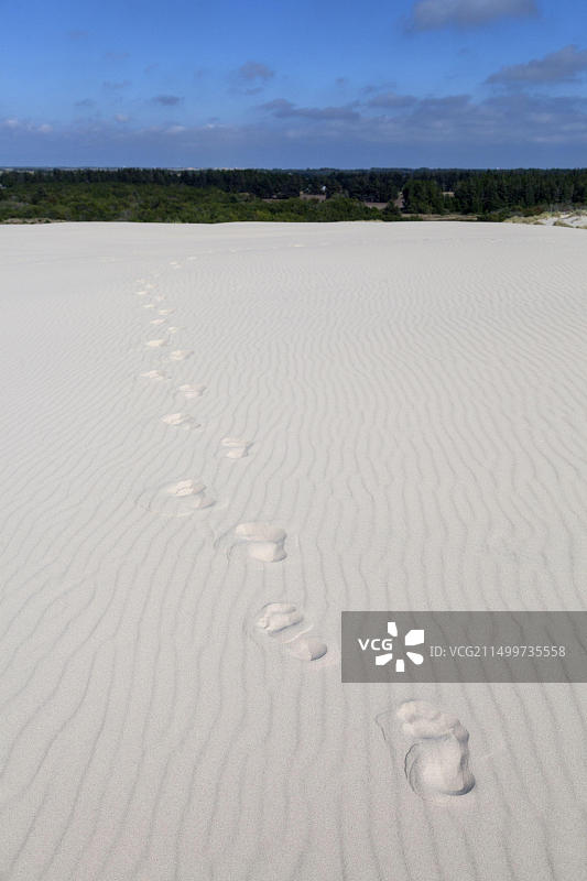 丹麦北日德兰罗比耶格米勒移动沙丘图片素材