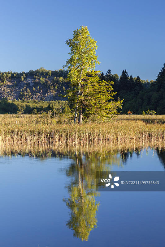 德国巴伐利亚州埃申洛厄和穆尔瑙之间的穆尔瑙苔藓湖图片素材