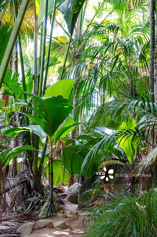 塞舌尔圣安妮湾国家公园图片素材