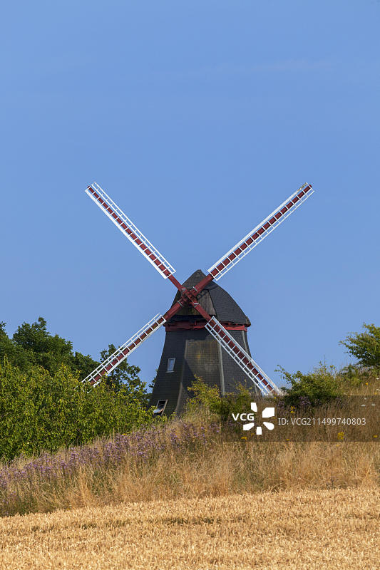 丹麦朗厄兰岛凯尔斯诺里安的风车图片素材
