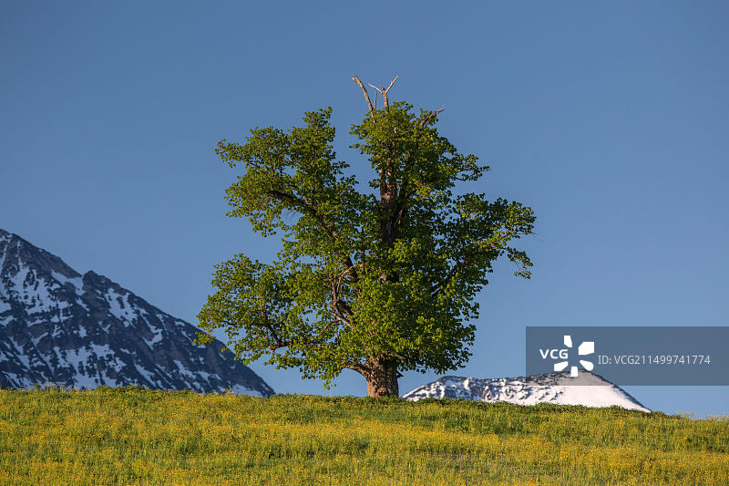 德国巴伐利亚Eschenlohe风光：埃斯肯洛厄石灰岩图片素材