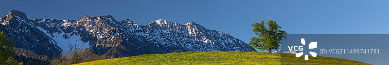 德国巴伐利亚埃申洛厄埃斯特山脉和阿默高阿尔卑斯山脉外的石灰岩图片素材