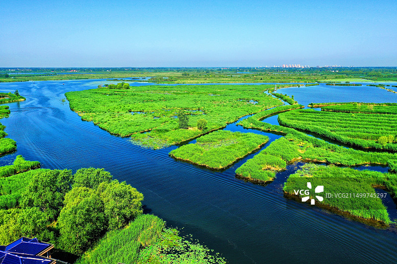 碧水蓝天芦苇荡，荷花香艳夏日凉生态乐园仙岛美，游船如织醉心房邵庄子村图片素材