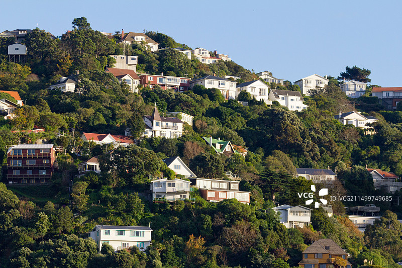 惠灵顿港山坡上的房屋，新西兰图片素材