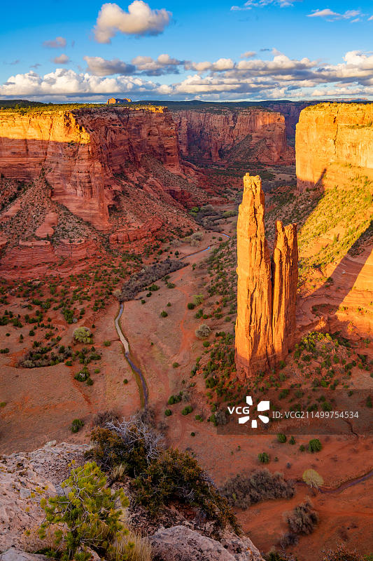 美国亚利桑那州，谢伊峡谷国家纪念碑的蜘蛛岩图片素材