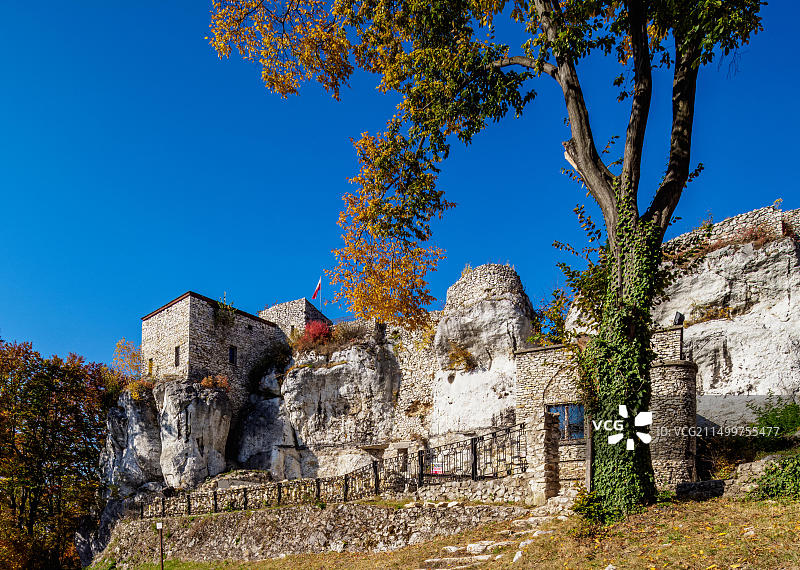 莫尔斯科的巴科维茨城堡，老鹰之路，克拉科夫-琴斯托霍瓦高地（波兰侏罗纪），西里西亚省，波兰，欧洲图片素材