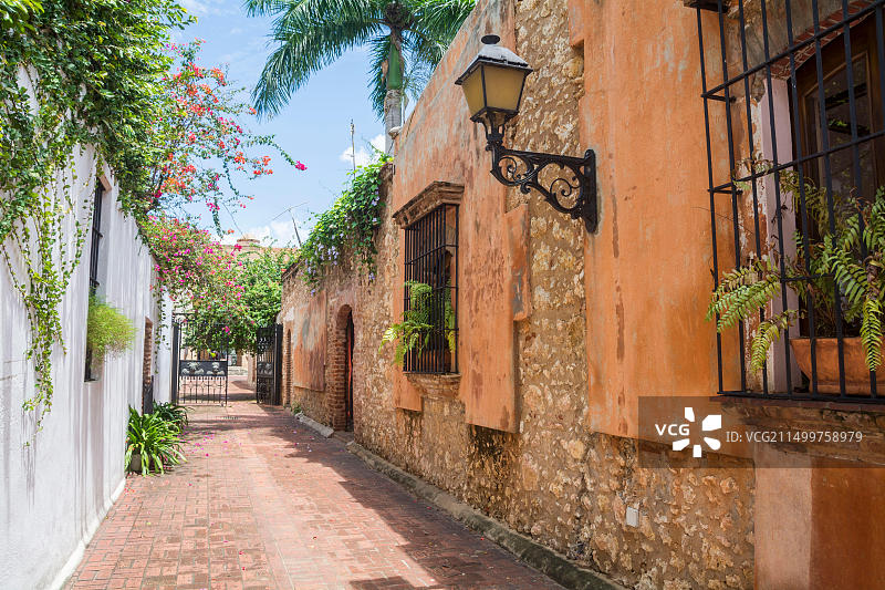 库拉斯巷：狭窄的通道，砖砌地面，芒果树遮阴图片素材