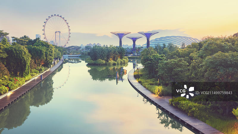 新加坡花园的清晨景色图片素材