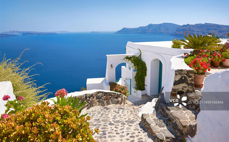 圣托里尼岛白色房屋和鲜花：伊亚镇热门景观图片素材