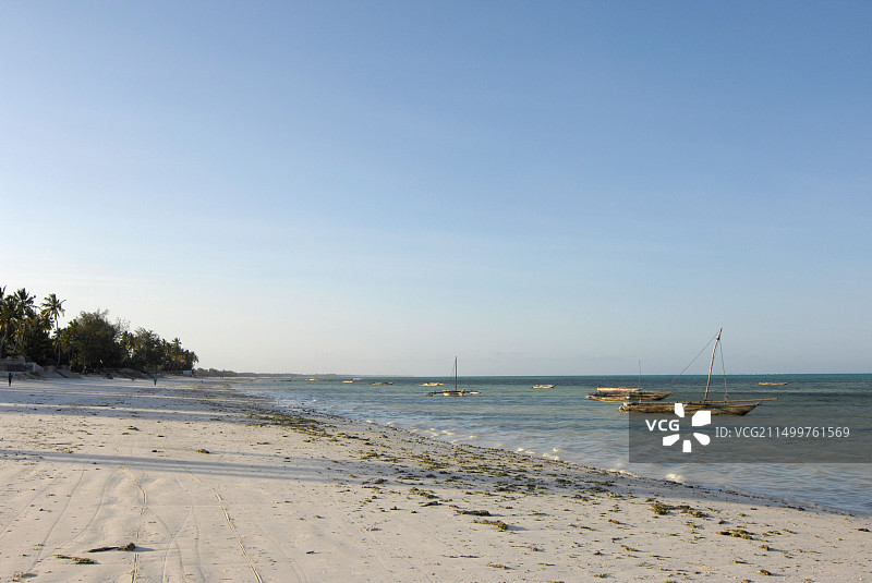 坦桑尼亚詹比阿尼海滩风光图片素材